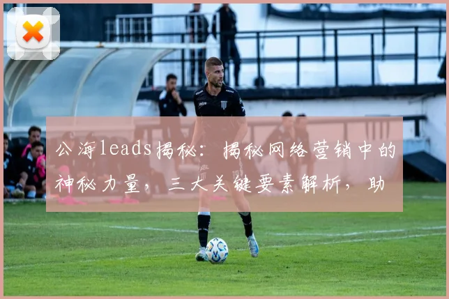公海leads揭秘：揭秘网络营销中的神秘力量，三大关键要素解析，助力企业增长