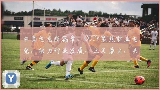 中国电竞新篇章，CCTV聚焦职业电竞，助力行业发展，三足鼎立，共绘未来图景